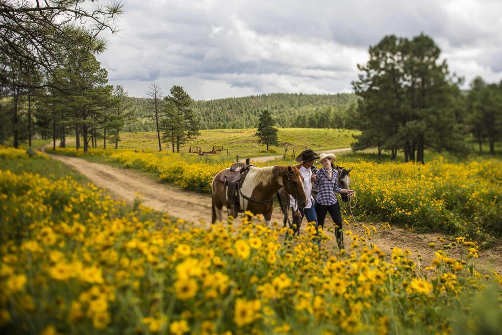Inn Of The Mountain Gods Resort And Casino Ruidoso Eksteriør bilde